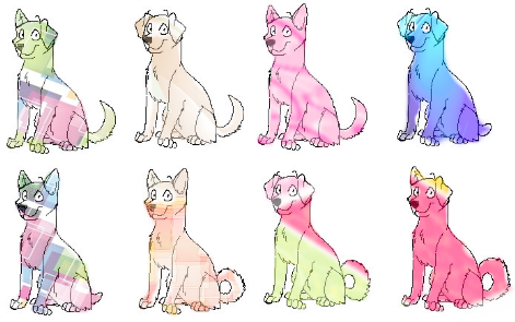 Adopts 256