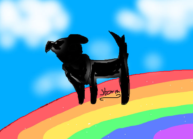Rainbow YCH by Starry-Storm on DeviantArt