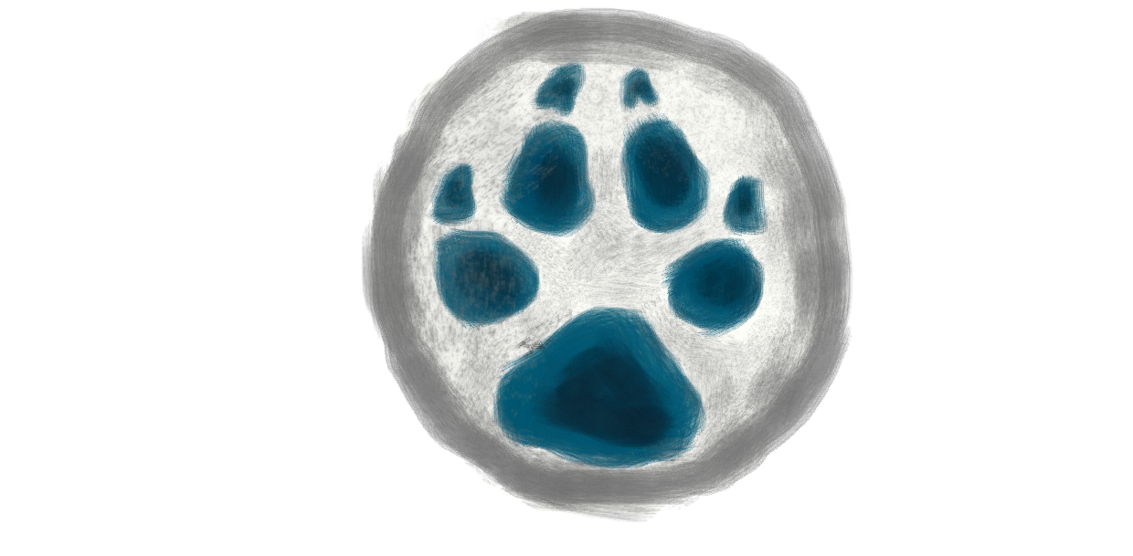 Blue Fox Print by JayFoxes on DeviantArt