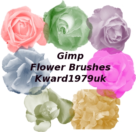 Gimp flower brush's