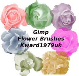 Gimp flower brush's