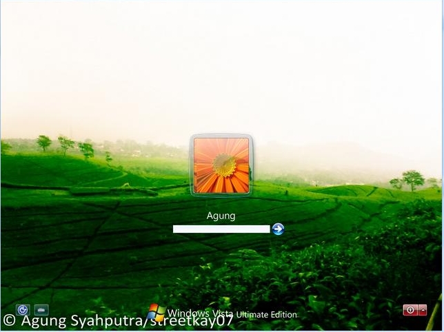 Tea Plantation 1 Logon screen