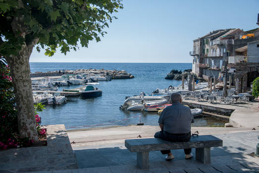 Erbalunga port