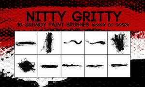 NITTY GRITTY -- 10 Large Grungy Paint Brushes