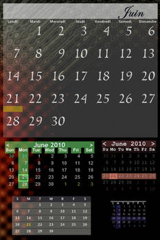Chameleon Calendar
