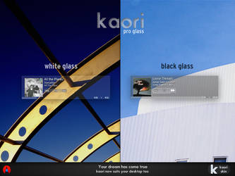Kaori Pro Glass