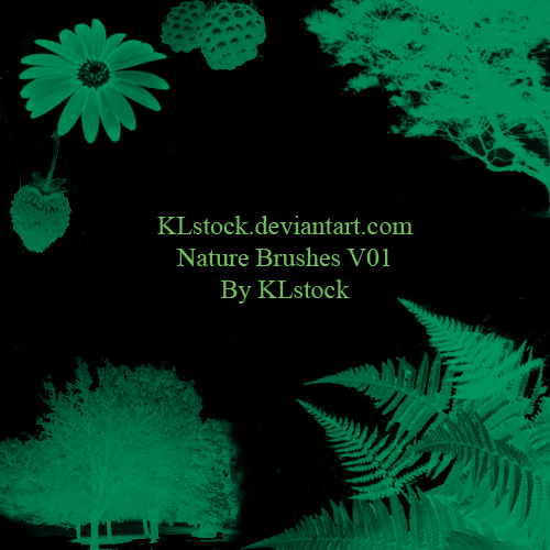 Nature Brushes