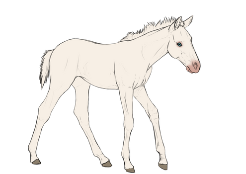 Free To Use Foal Lines II