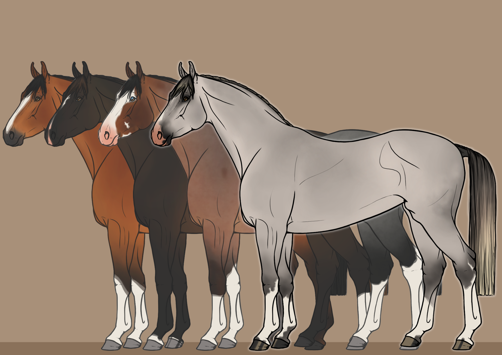 Warmblood lineart by Behekzt on DeviantArt