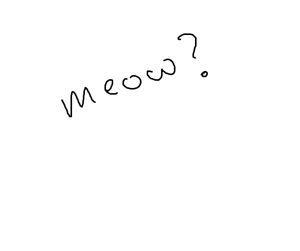 Meow :First animation: