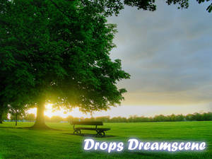 Drops dreamscene