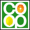 CO-OP Session 06