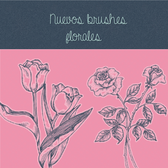 Nuevos Brushes Florales