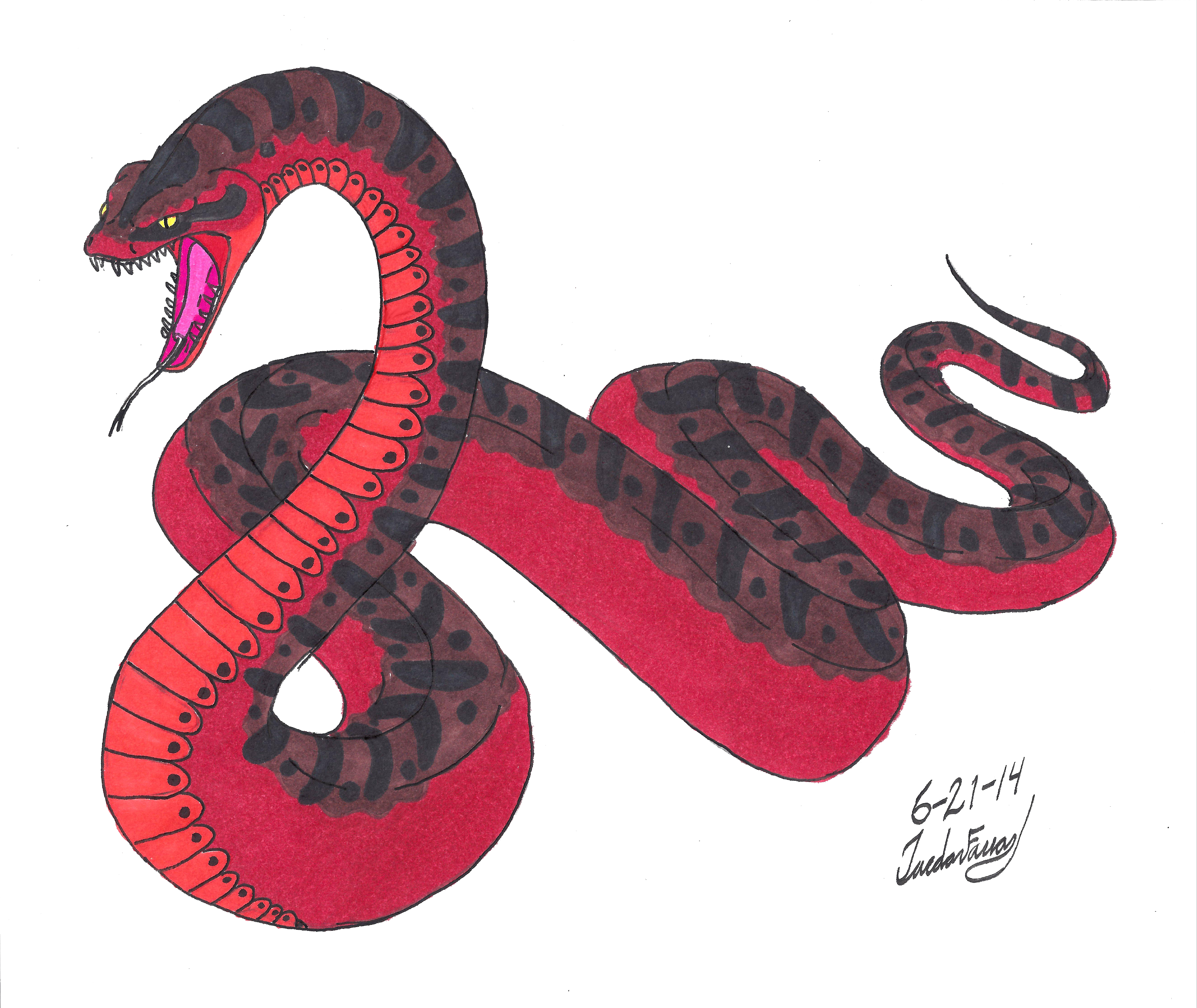 The Red Python