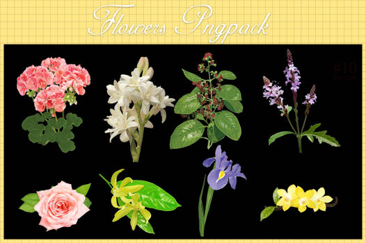 Flowers PngPack #9