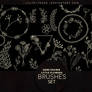 Hand Drawn Little Flowers Brushes #60