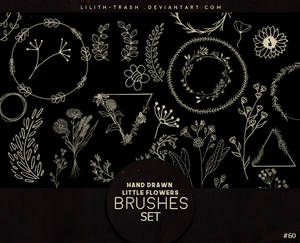 Hand Drawn Little Flowers Brushes #60