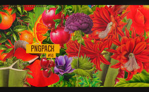 Pngpack #50