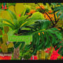 #50 Png Cactuses and Plants