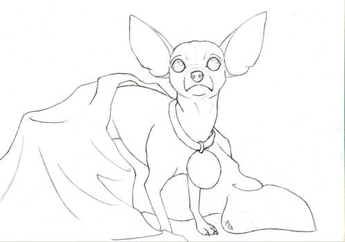 Chihuahua