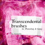 Transcendental Brushes