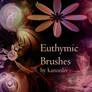 Euthymic Brushes