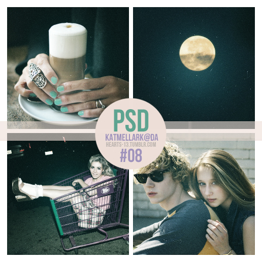 PSD 08