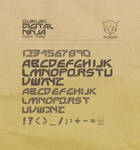 +Digital Ninja+ :font type: by Quiccs