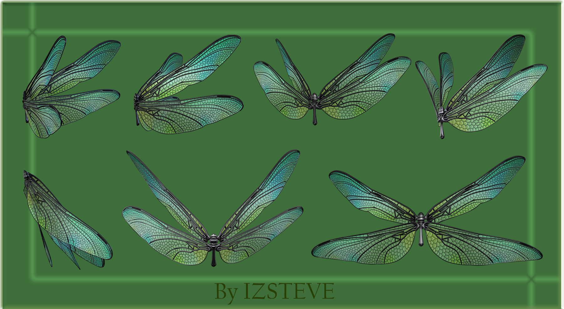 Dragonfly Wings Set 01