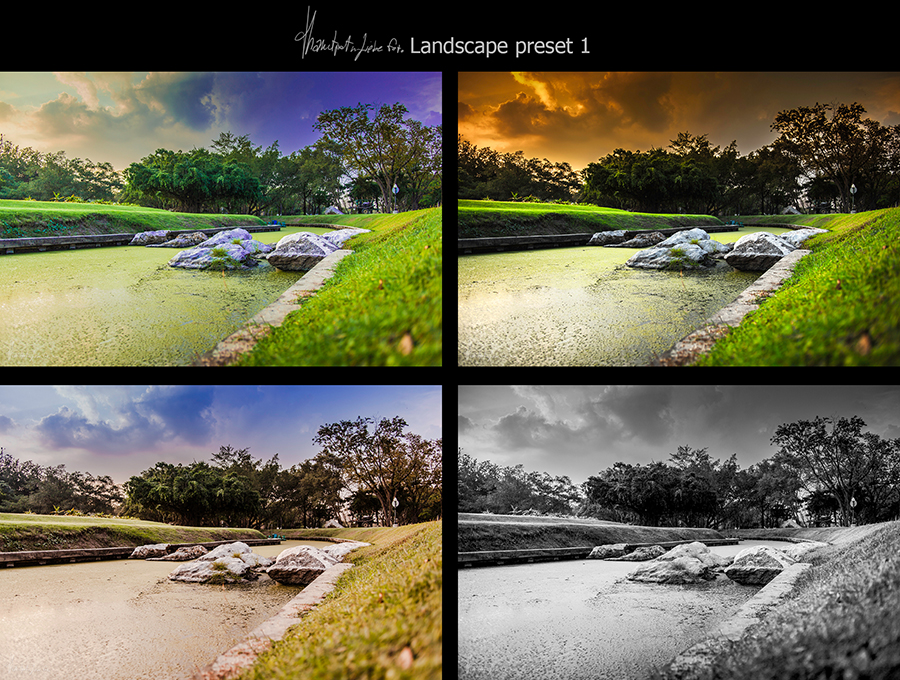 Landscape Preset 1