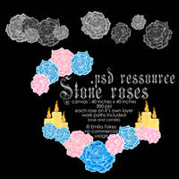 Stone rose psd (in a rar file) ressource file