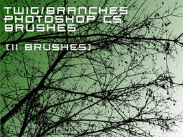 Branches brushes