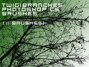 Branches brushes