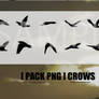 [ PACK ] [ PNG ] CROWS