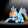 Rainbow Dash is ready to fly