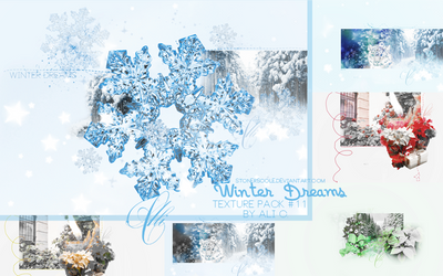 'WinterDreams' - Texture pack #11