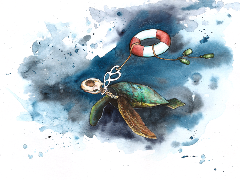 Plastic Turtle by CreatureMonster on DeviantArt