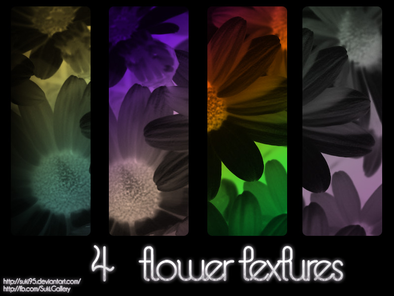 4 Flower Textures