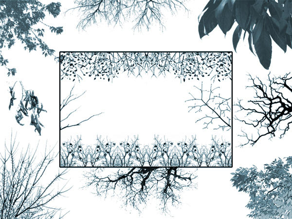 Tree Clutter Borders1 Tree Borders II by midnightstouch on DeviantArt