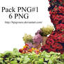 Pack#1 - PNG Flower - 140111
