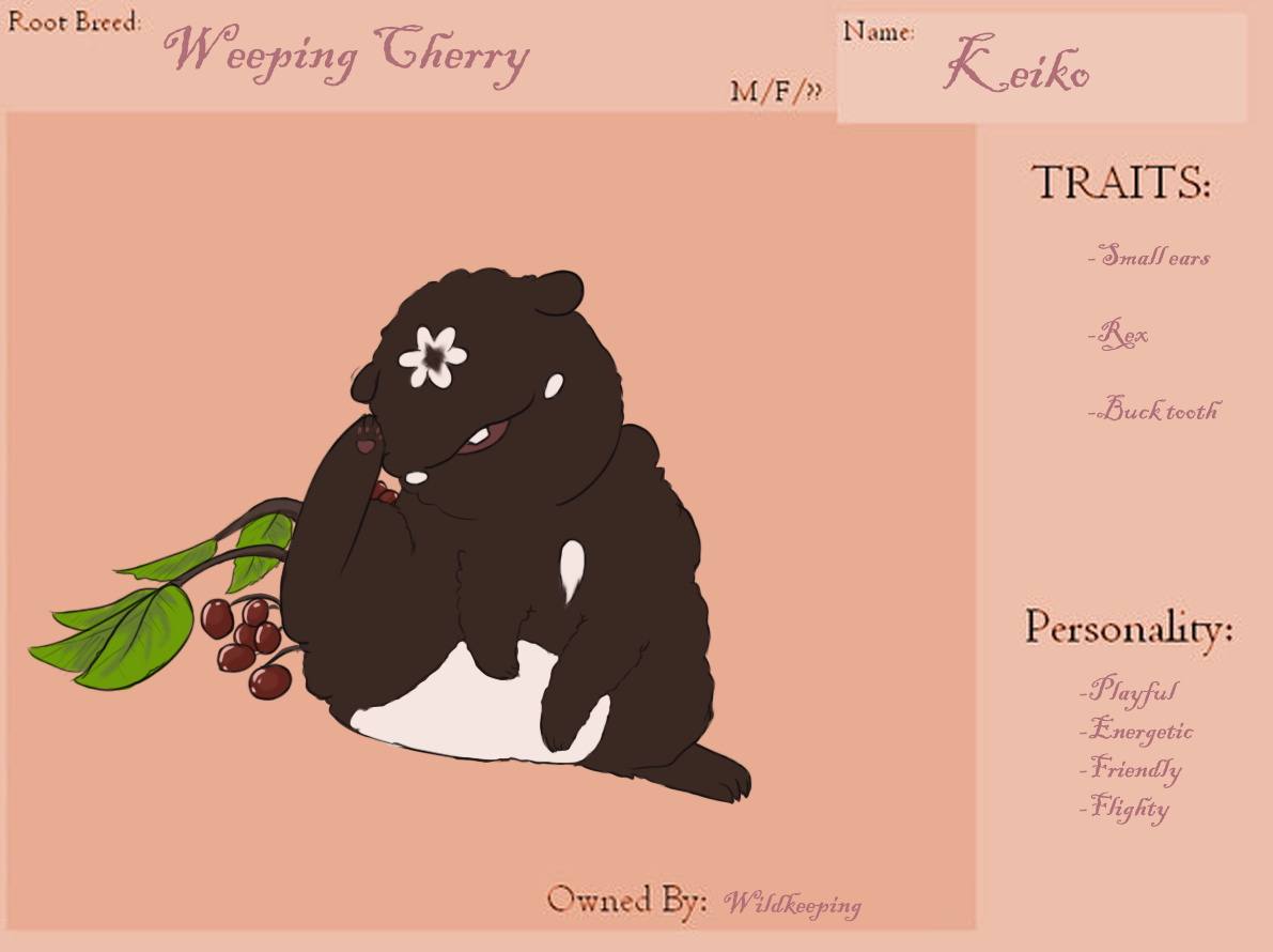 Keiko Reference Sheet by wildkeeping on DeviantArt