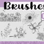 Brushes Florales