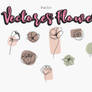 Packs Vectores Flowers PNG