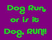 Dog Run