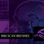 MRI brushes