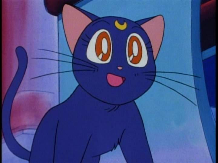 Синий мультяшный кот. Японский кот дораэмон. Голубой кот из три кота. Синяя кошка. Синий мультяшный кот японский.