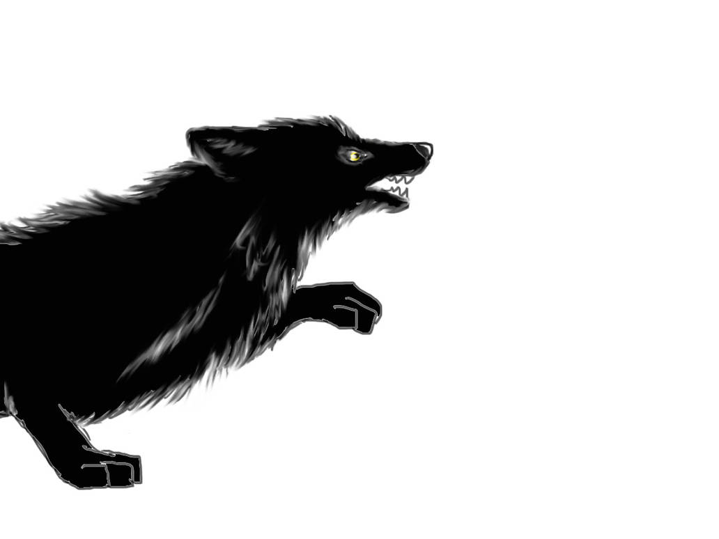 Black Wolf Animation By Blueirisflower On Deviantart