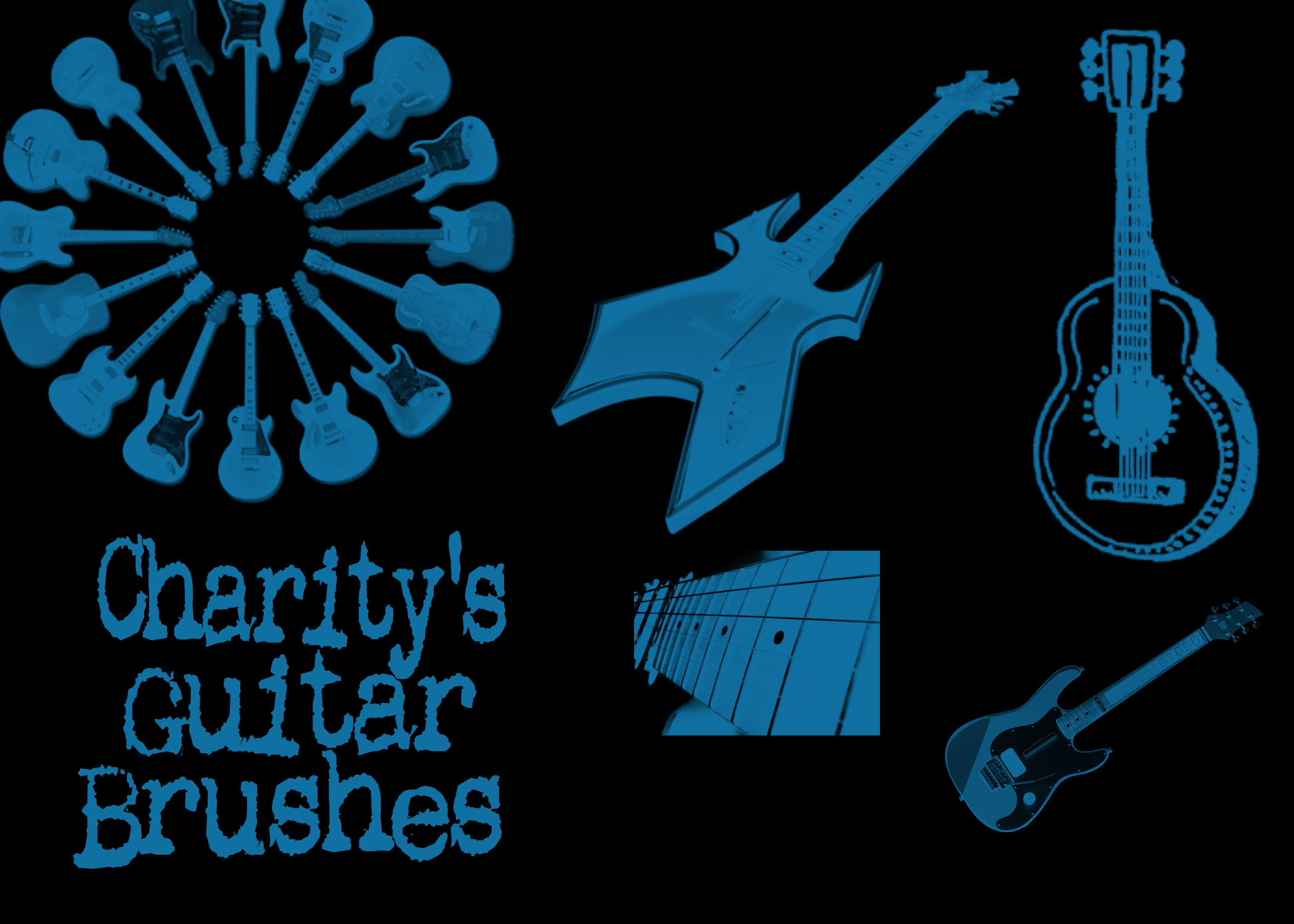 Charity's Guitar Brushes