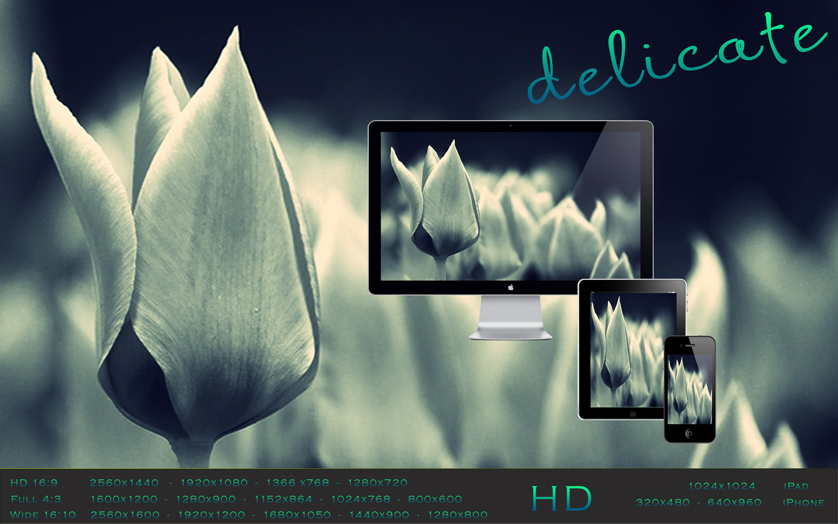 Delicate Wallpaper Pack by arsenio187