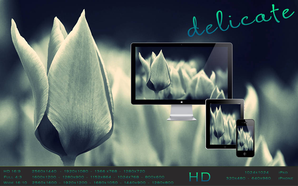 Delicate Wallpaper Pack by arsenio187